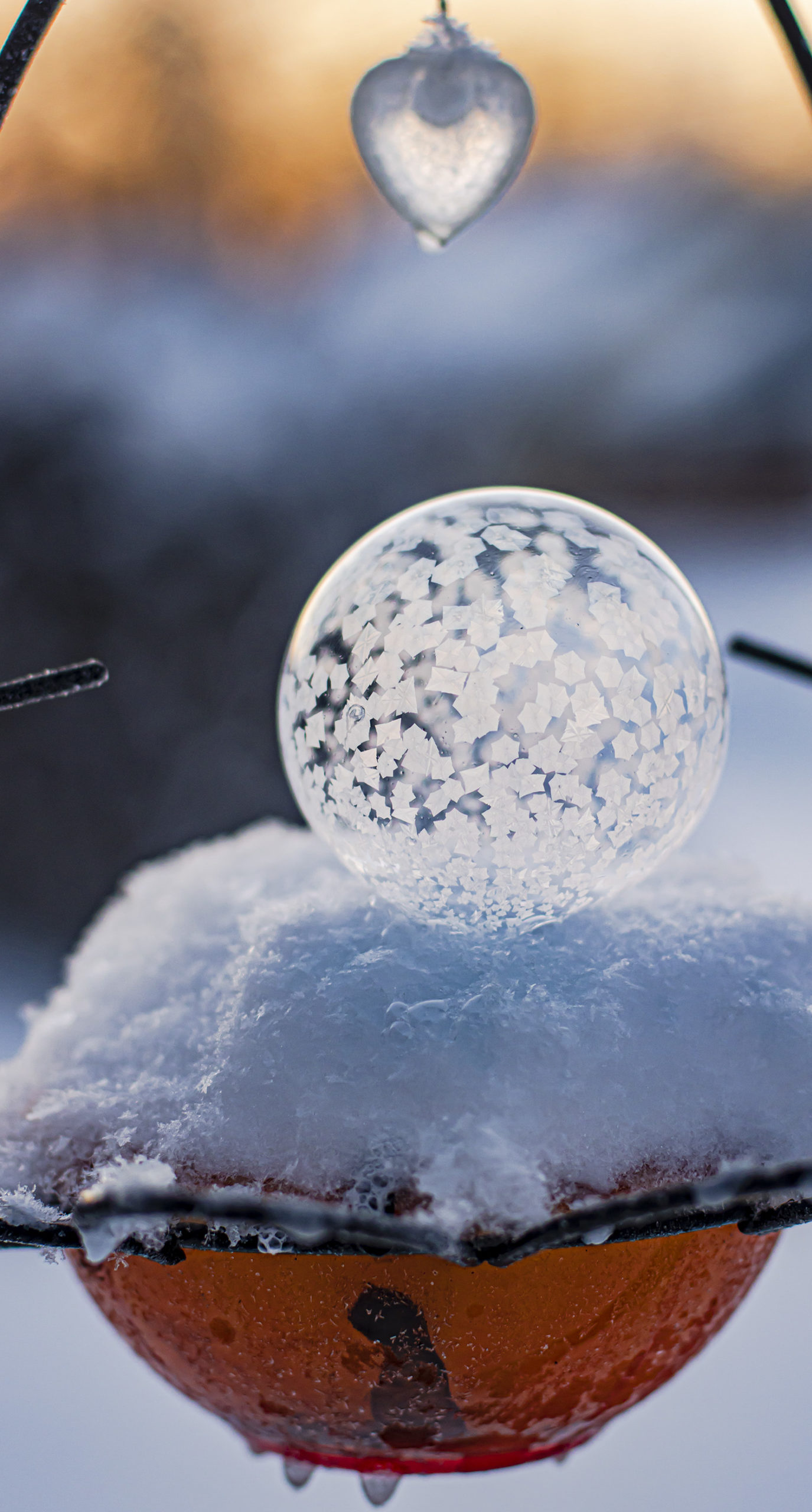 composition-art-photography-frozen-bubble-on-snow-cropped