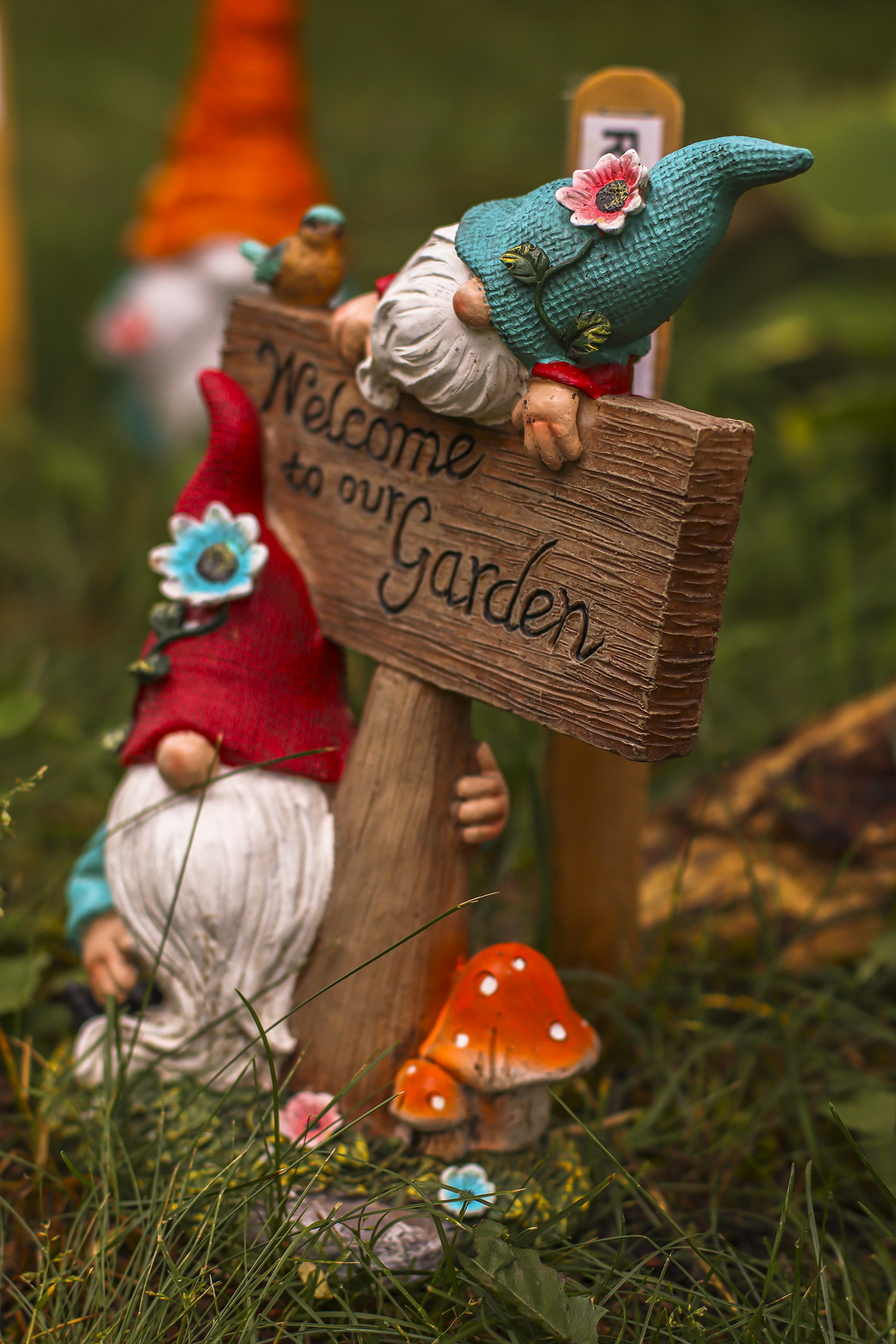 composition-two-gnome-sign-mushrooms-posing-color-edited